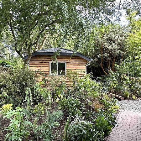 Pinetum Garden Cottages St Austell Extérieur photo