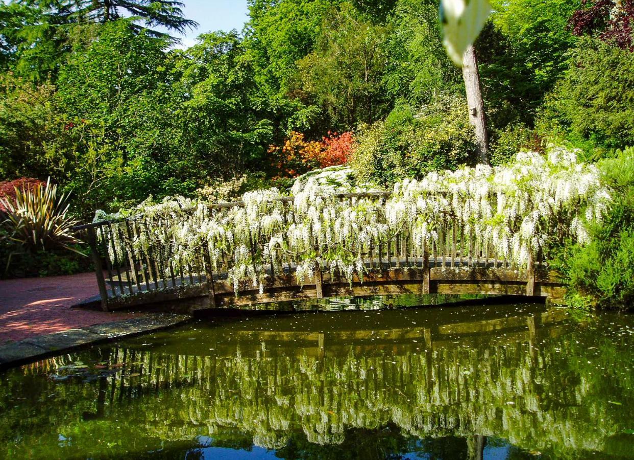 Pinetum Garden Cottages St Austell Extérieur photo