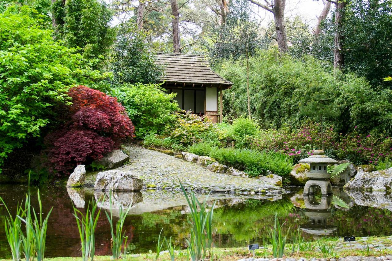 Pinetum Garden Cottages St Austell Extérieur photo