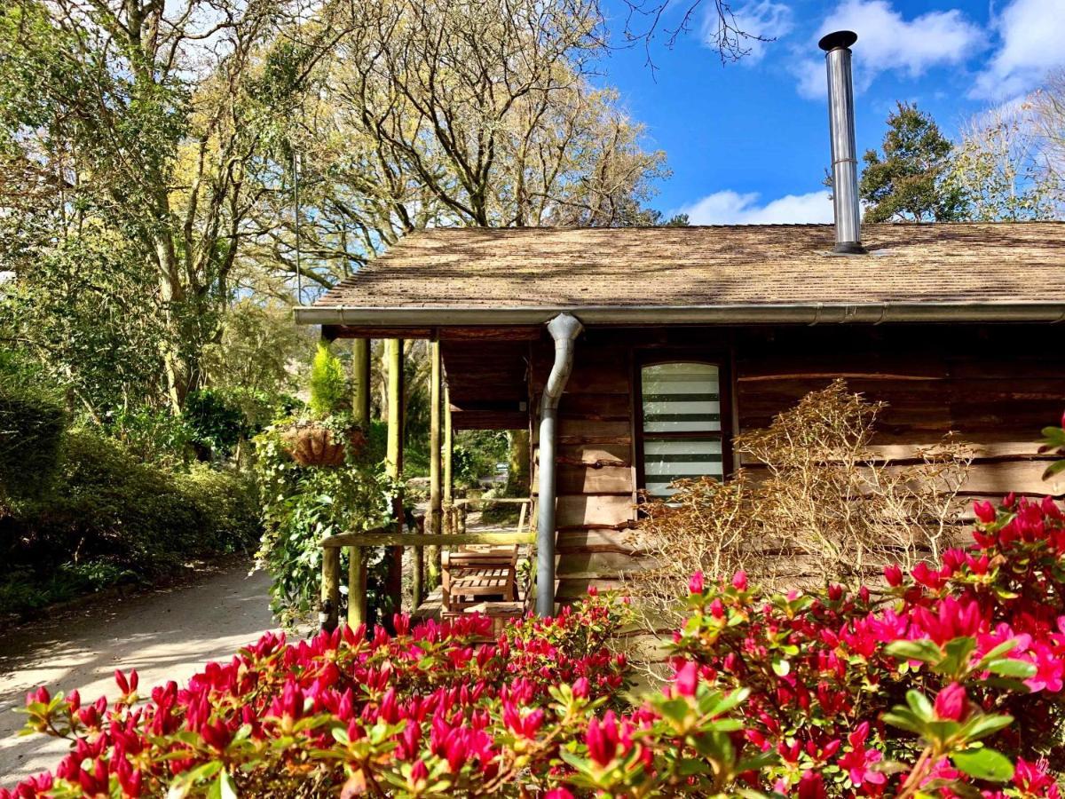 Pinetum Garden Cottages St Austell Extérieur photo