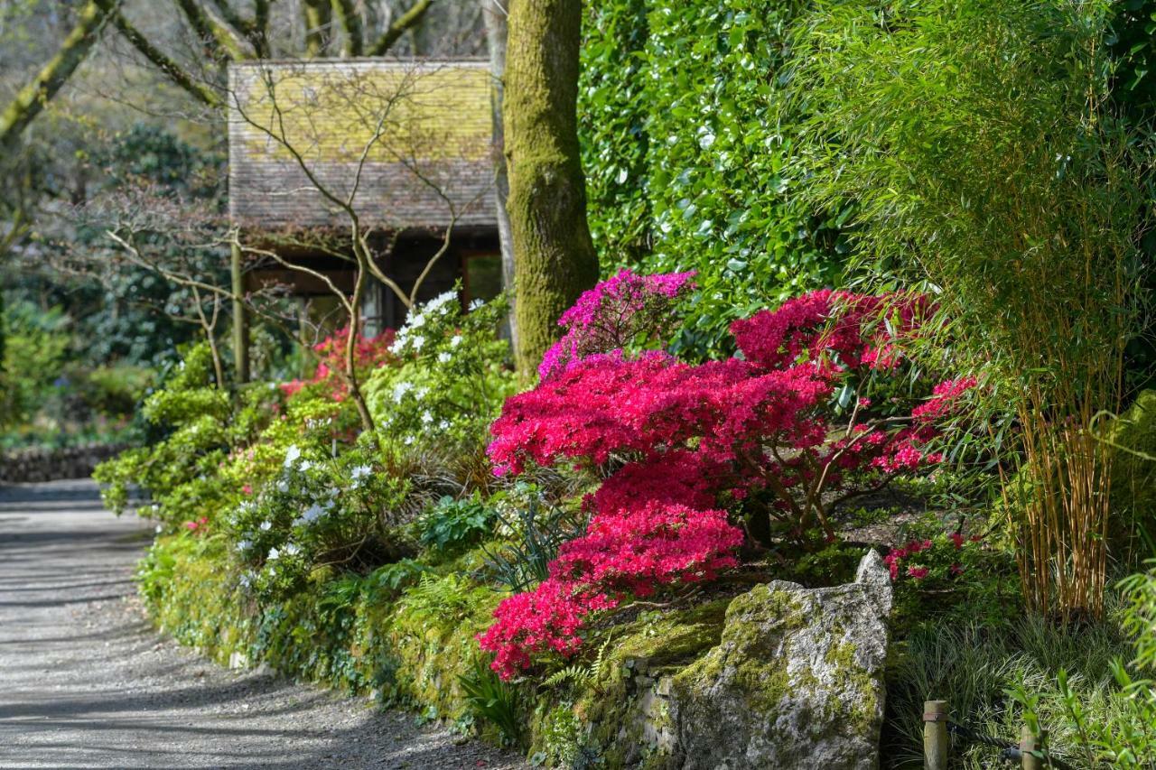 Pinetum Garden Cottages St Austell Extérieur photo